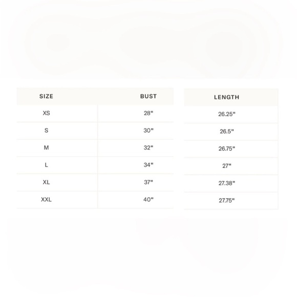 NWT TUCKERNUCK X HYACINTH HOUSE gingham Donna dress XS - Picture 8 of 8